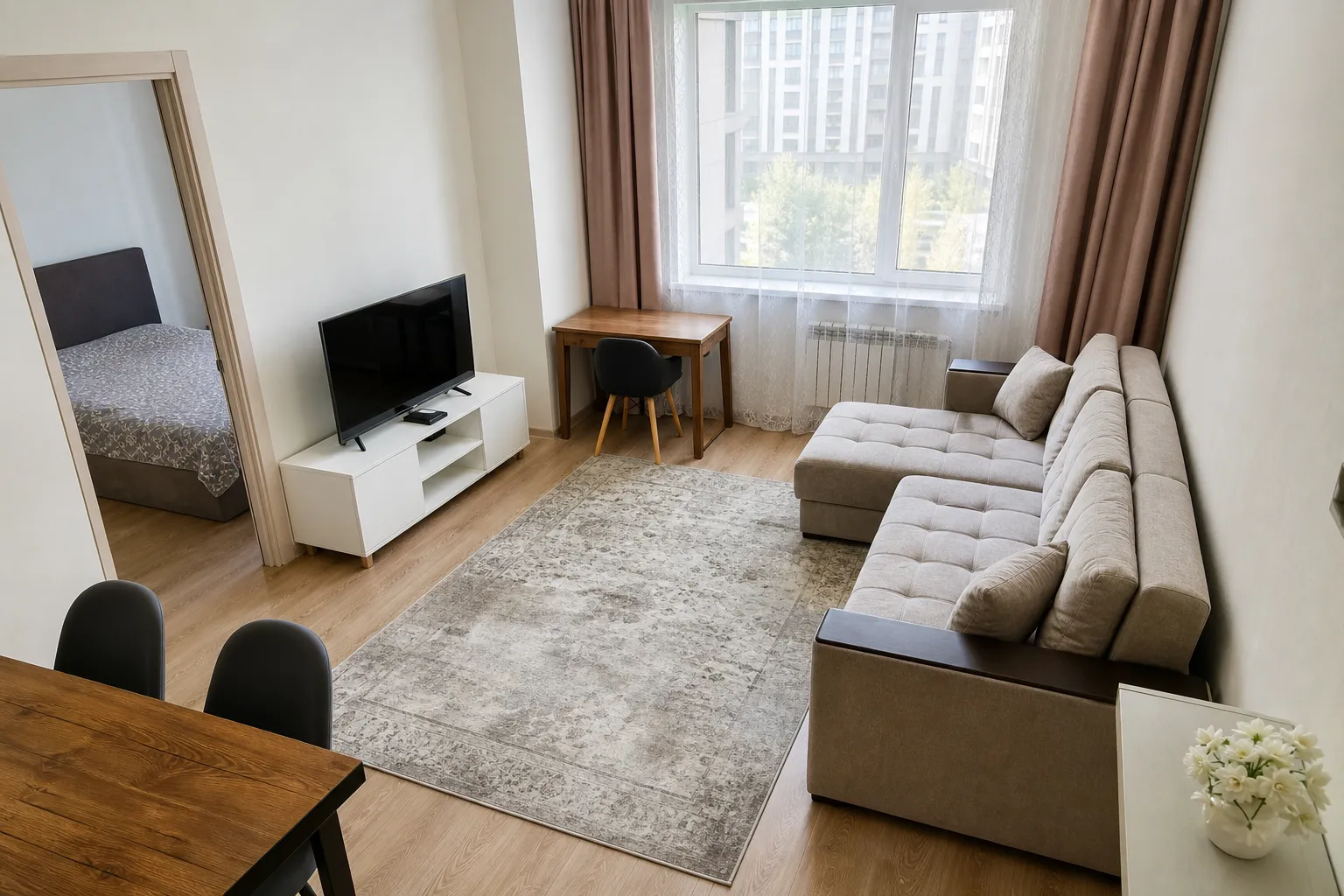 Living room in a rental apartment after a cat — after